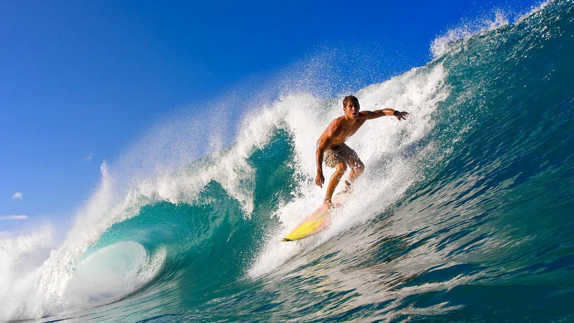 赛道上的独舞，霍勒迪进攻端无人可挡的F1年度争冠之夜