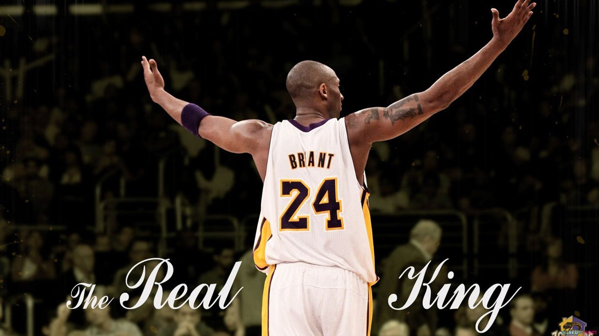 新王当立！爱德华兹用实力证明自己，魔术军团打穿步行者彰显黑马本色