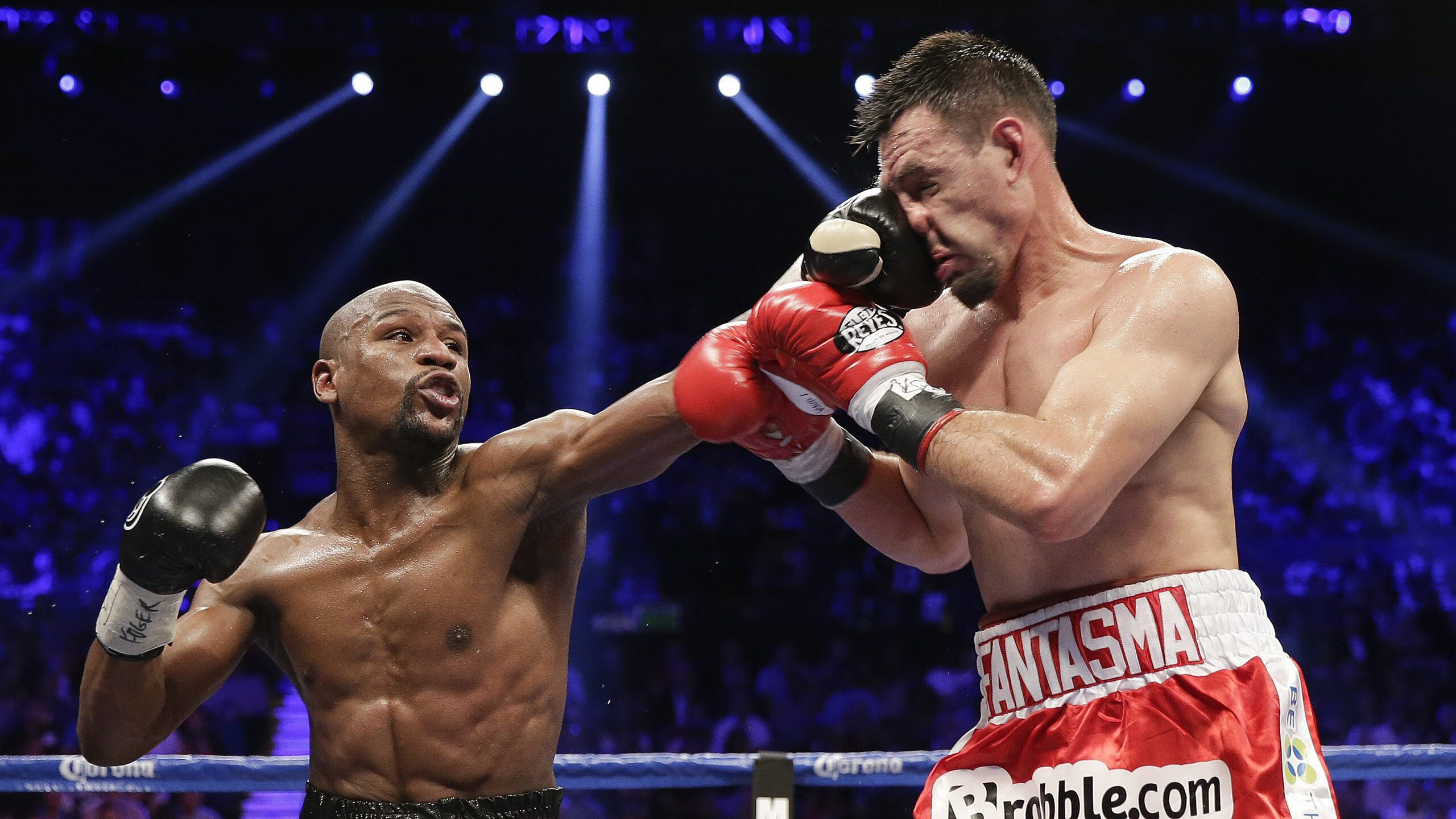 跨界传奇，当张继科的藏獒精神照亮奥地利与德国的绿茵鏖战